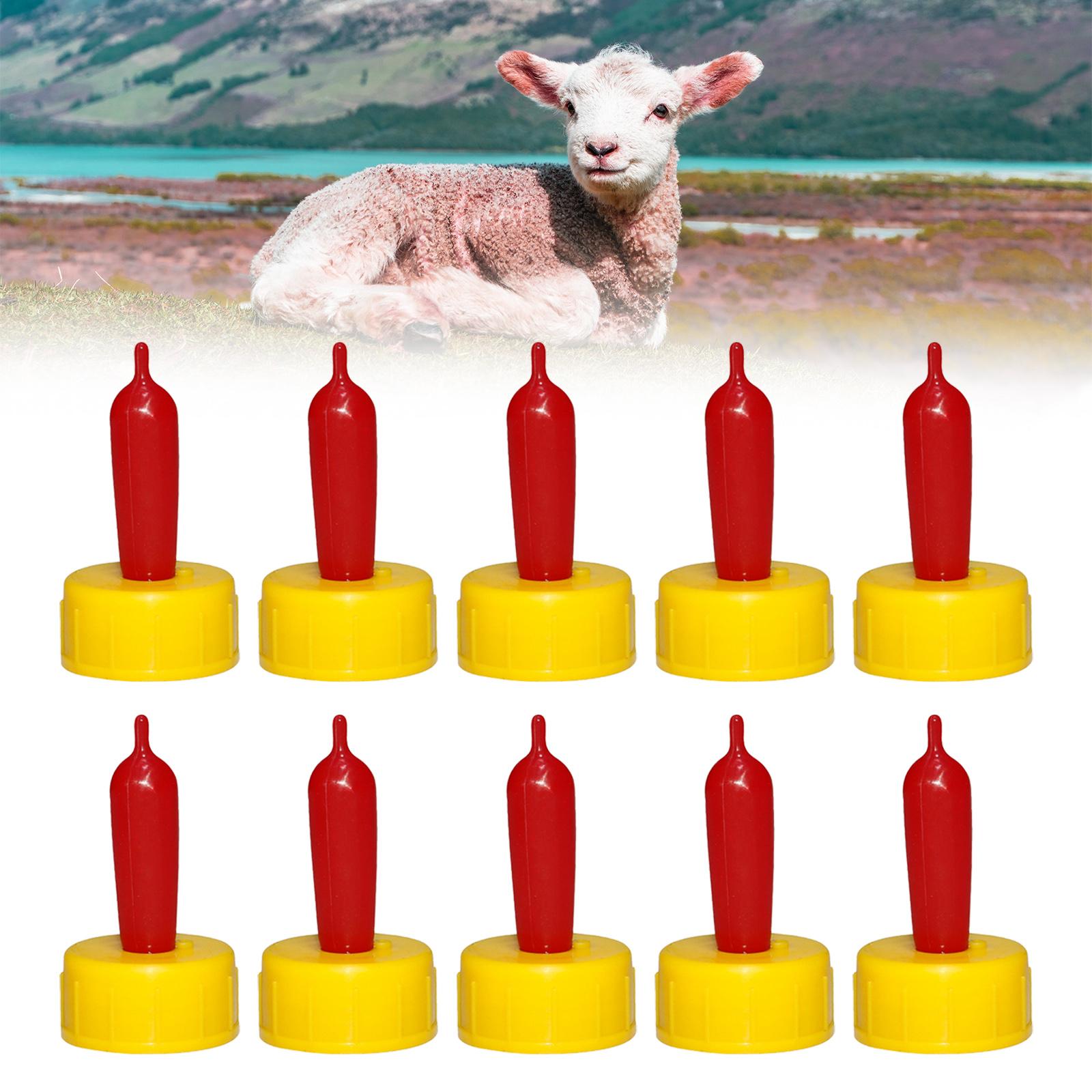 Succhietto in Gomma Morbida pe - Agriculture Goat Farming recensione e prezzo