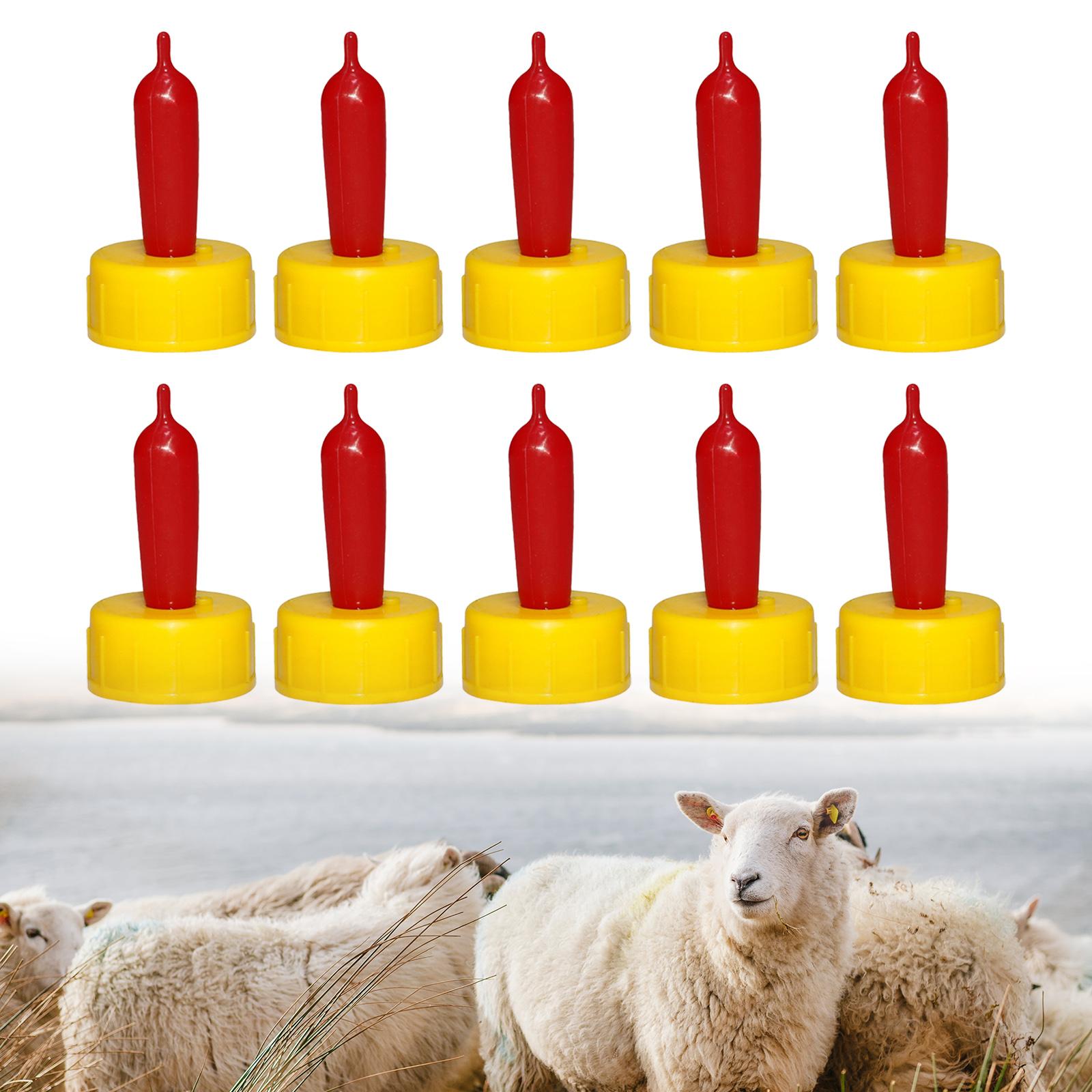 Succhietto in Gomma Morbida pe - Agriculture Goat Farming recensione e prezzo